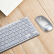 方正（iFound）W 6226キーマウスセットワイヤスティックマウスセットオフィスキーボード超薄型ミニ無線コンパクト女子チョコレートノートパソコンキーボードセット銀色