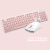 雷迪凱機械手触りキーボード可愛い女の子キーボードケーブルセットデスクトップノートパソコンオフィスキーホルダーセットUSBレトロパンクキーボード1900セット-少女ピンク